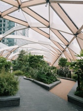 Commercial Landscaping 
Services 